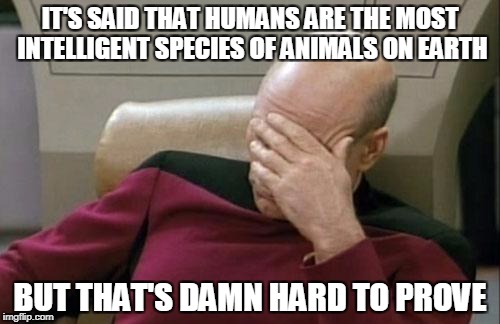 Captain Picard Facepalm Meme | IT'S SAID THAT HUMANS ARE THE MOST INTELLIGENT SPECIES OF ANIMALS ON EARTH; BUT THAT'S DAMN HARD TO PROVE | image tagged in memes,captain picard facepalm | made w/ Imgflip meme maker