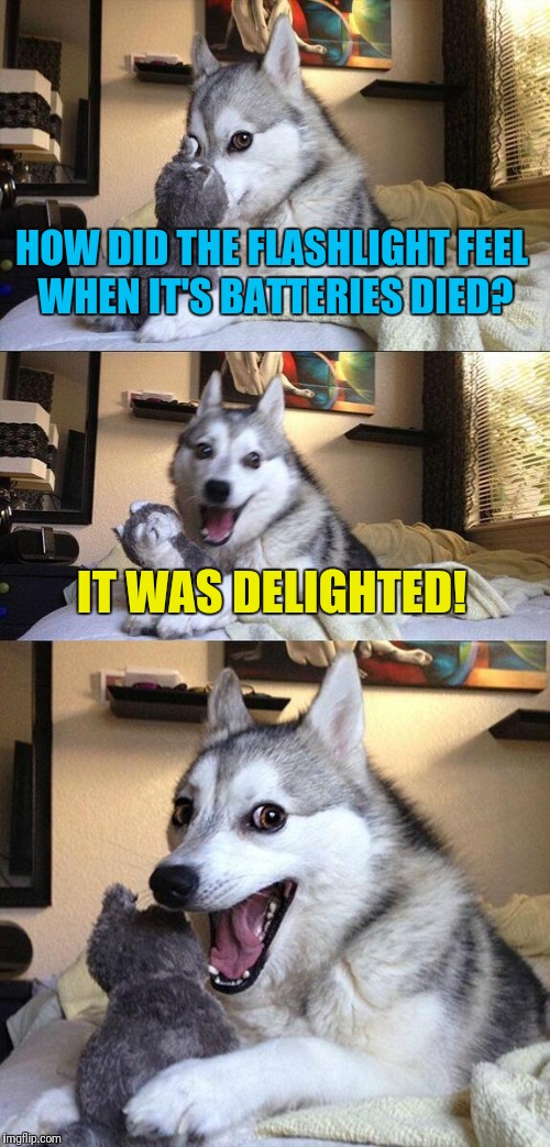 Bad Pun Dog Meme | HOW DID THE FLASHLIGHT FEEL WHEN IT'S BATTERIES DIED? IT WAS DELIGHTED! | image tagged in memes,bad pun dog | made w/ Imgflip meme maker