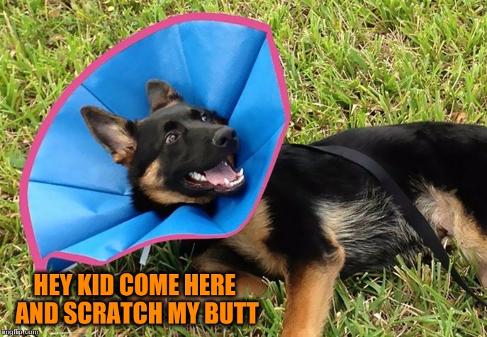 HEY KID COME HERE AND SCRATCH MY BUTT | made w/ Imgflip meme maker