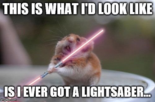 Star Wars hamster | THIS IS WHAT I'D LOOK LIKE; IS I EVER GOT A LIGHTSABER... | image tagged in star wars hamster | made w/ Imgflip meme maker