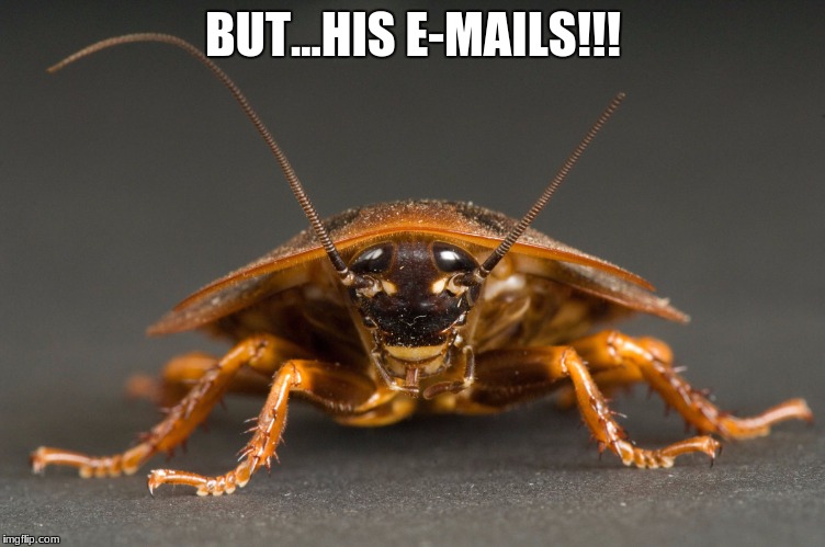 On MSNBC for Cockroaches | BUT...HIS E-MAILS!!! | image tagged in cockroach | made w/ Imgflip meme maker