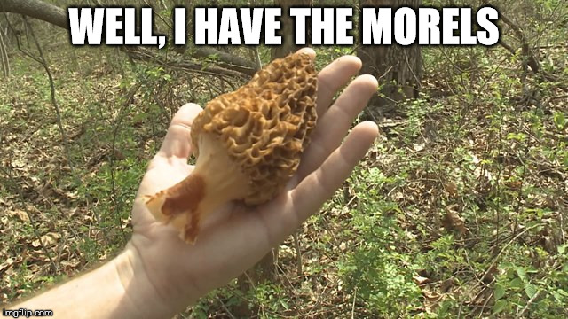WELL, I HAVE THE MORELS | made w/ Imgflip meme maker
