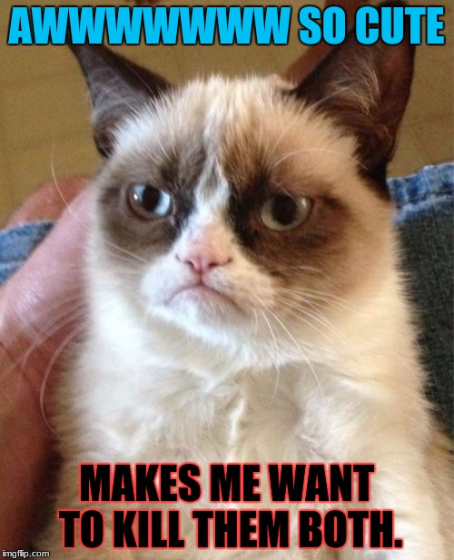 Grumpy Cat Meme | AWWWWWWW SO CUTE MAKES ME WANT TO KILL THEM BOTH. | image tagged in memes,grumpy cat | made w/ Imgflip meme maker