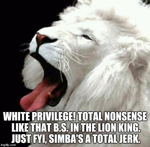 White Lion Privilege | WHITE PRIVILEGE! TOTAL NONSENSE LIKE THAT B.S. IN THE LION KING. JUST FYI, SIMBA'S A TOTAL JERK. | image tagged in lion king,funny,white privilege,simba,jerk | made w/ Imgflip meme maker