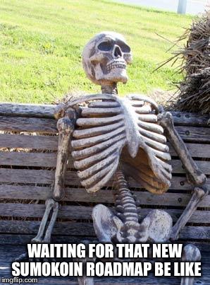 Waiting Skeleton Meme | WAITING FOR THAT NEW SUMOKOIN ROADMAP BE LIKE | image tagged in memes,waiting skeleton | made w/ Imgflip meme maker