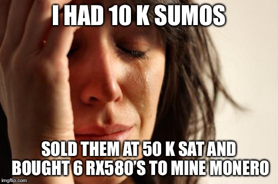 First World Problems Meme | I HAD 10 K SUMOS; SOLD THEM AT 50 K SAT AND BOUGHT 6 RX580’S TO MINE MONERO | image tagged in memes,first world problems | made w/ Imgflip meme maker
