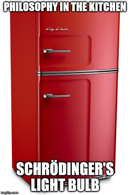 Refrigerator | PHILOSOPHY IN THE KITCHEN; SCHRÖDINGER'S LIGHT BULB | image tagged in refrigerator | made w/ Imgflip meme maker