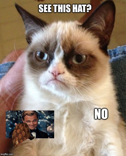 Grumpy Cat Vs Leonardo DiCaprio  | SEE THIS HAT? NO | image tagged in memes,grumpy cat,scumbag,cats | made w/ Imgflip meme maker