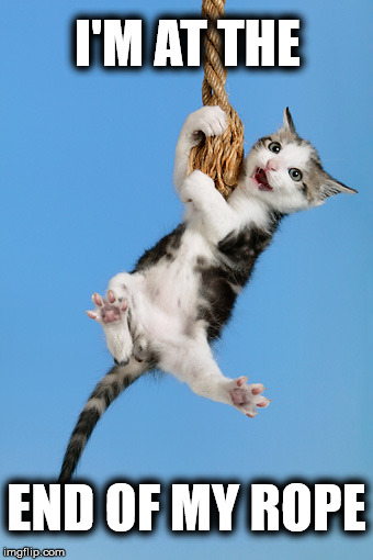 I'M AT THE END OF MY ROPE | made w/ Imgflip meme maker