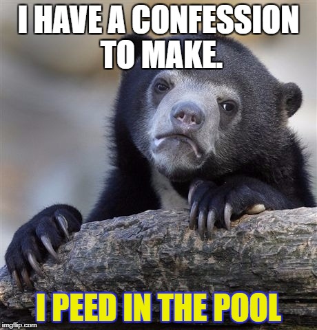 Confession Bear Meme | I HAVE A CONFESSION TO MAKE. I PEED IN THE POOL | image tagged in memes,confession bear | made w/ Imgflip meme maker