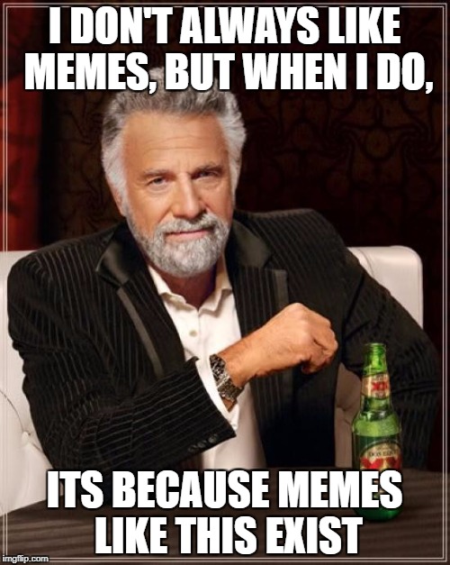 The Most Interesting Man In The World Meme | I DON'T ALWAYS LIKE MEMES, BUT WHEN I DO, ITS BECAUSE MEMES LIKE THIS EXIST | image tagged in memes,the most interesting man in the world | made w/ Imgflip meme maker