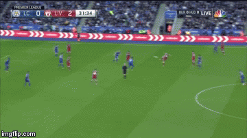 1wgle1.gif