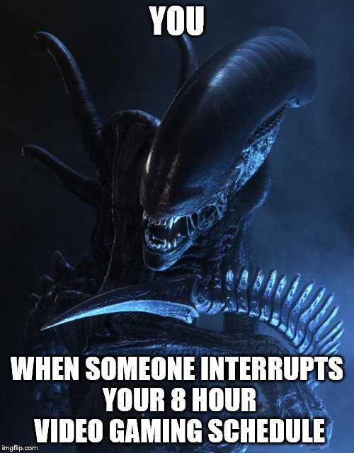 Xenomorph | YOU; WHEN SOMEONE INTERRUPTS YOUR 8 HOUR VIDEO GAMING SCHEDULE | image tagged in xenomorph | made w/ Imgflip meme maker