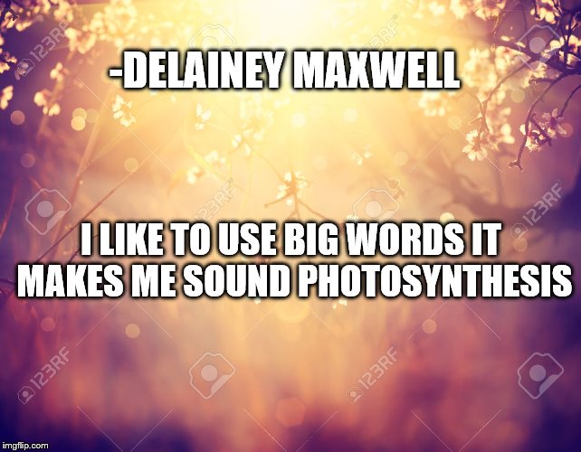 Flowers | -DELAINEY MAXWELL; I LIKE TO USE BIG WORDS IT MAKES ME SOUND PHOTOSYNTHESIS | image tagged in flowers | made w/ Imgflip meme maker