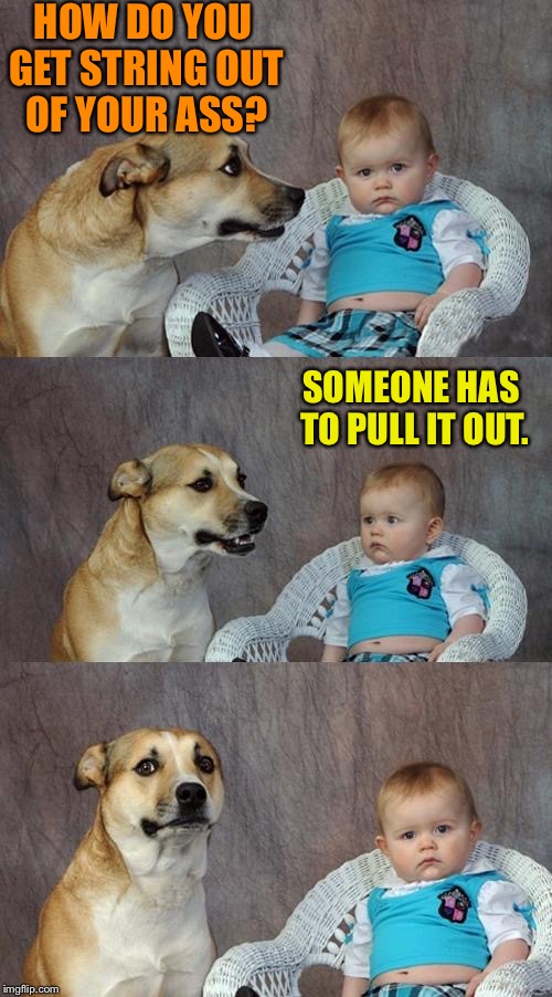 Dad Joke Dog Meme | HOW DO YOU GET STRING OUT OF YOUR ASS? SOMEONE HAS TO PULL IT OUT. | image tagged in memes,dad joke dog | made w/ Imgflip meme maker