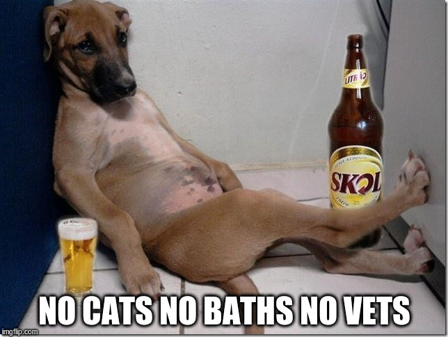 NO CATS NO BATHS NO VETS | made w/ Imgflip meme maker