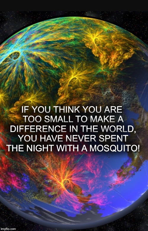 Make a change | IF YOU THINK YOU ARE TOO SMALL TO MAKE A DIFFERENCE IN THE WORLD, YOU HAVE NEVER SPENT THE NIGHT WITH A MOSQUITO! | image tagged in change | made w/ Imgflip meme maker