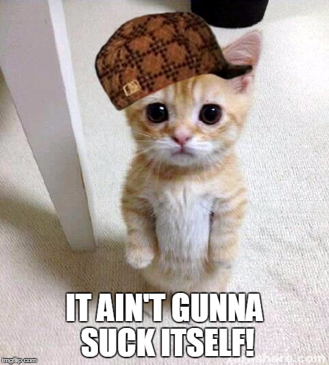 Cute Cat Meme | IT AIN'T GUNNA SUCK ITSELF! | image tagged in memes,cute cat,scumbag | made w/ Imgflip meme maker