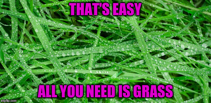 THAT'S EASY ALL YOU NEED IS GRASS | made w/ Imgflip meme maker