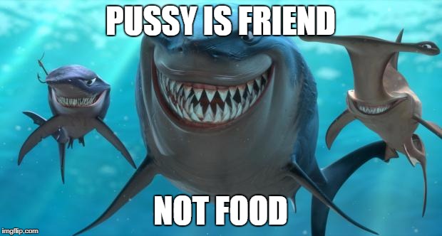Fish are friends not food | PUSSY IS FRIEND; NOT FOOD | image tagged in fish are friends not food | made w/ Imgflip meme maker