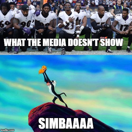 WHAT THE MEDIA DOESN'T SHOW; SIMBAAAA | image tagged in kneeling,nfl,liberal media,humor,lion king | made w/ Imgflip meme maker