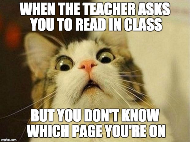 Scared Cat | WHEN THE TEACHER ASKS YOU TO READ IN CLASS; BUT YOU DON'T KNOW WHICH PAGE YOU'RE ON | image tagged in memes,scared cat | made w/ Imgflip meme maker