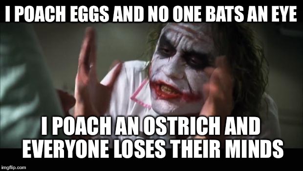 And everybody loses their minds | I POACH EGGS AND NO ONE BATS AN EYE; I POACH AN OSTRICH AND EVERYONE LOSES THEIR MINDS | image tagged in memes,and everybody loses their minds | made w/ Imgflip meme maker