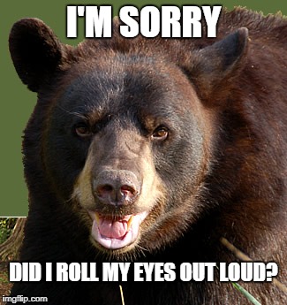 I'M SORRY; DID I ROLL MY EYES OUT LOUD? | image tagged in bears,chicago bears,packers suck,vikings suck,lions suck,go bears | made w/ Imgflip meme maker