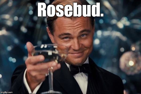 Leonardo Dicaprio Cheers Meme | Rosebud. | image tagged in memes,leonardo dicaprio cheers | made w/ Imgflip meme maker