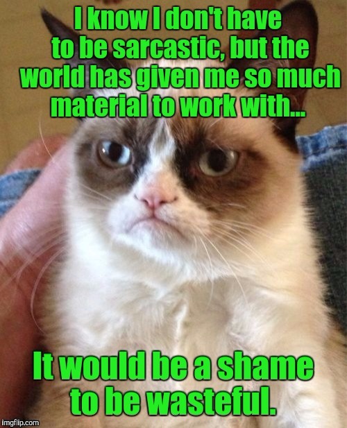 Grumpy Cat  | . | image tagged in grumpy cat,funny | made w/ Imgflip meme maker