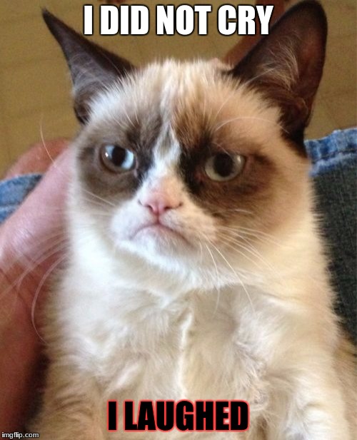 Grumpy Cat Meme | I DID NOT CRY I LAUGHED | image tagged in memes,grumpy cat | made w/ Imgflip meme maker