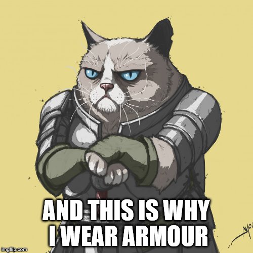 AND THIS IS WHY I WEAR ARMOUR | made w/ Imgflip meme maker