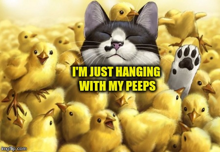I'M JUST HANGING WITH MY PEEPS | made w/ Imgflip meme maker