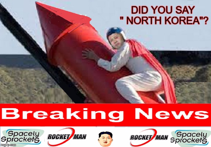 kim jong un  | DID YOU SAY " NORTH KOREA"? | image tagged in kim jong un | made w/ Imgflip meme maker