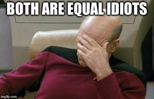 Captain Picard Facepalm Meme | BOTH ARE EQUAL IDIOTS | image tagged in memes,captain picard facepalm | made w/ Imgflip meme maker