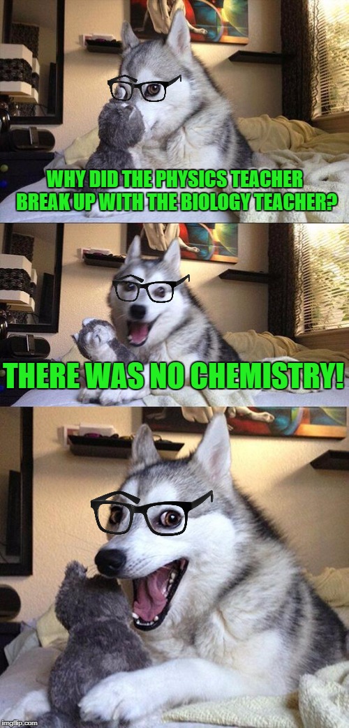 Bad Pun Dog Meme | WHY DID THE PHYSICS TEACHER BREAK UP WITH THE BIOLOGY TEACHER? THERE WAS NO CHEMISTRY! | image tagged in memes,bad pun dog | made w/ Imgflip meme maker