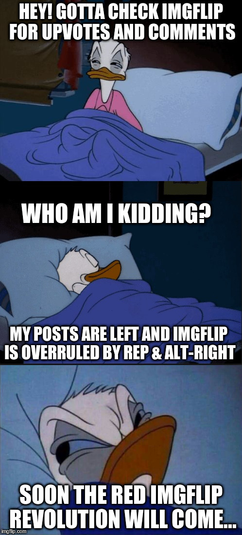 Dream about your revolution, sleepy-head <3 | HEY! GOTTA CHECK IMGFLIP FOR UPVOTES AND COMMENTS; WHO AM I KIDDING? MY POSTS ARE LEFT AND IMGFLIP IS OVERRULED BY REP & ALT-RIGHT; SOON THE RED IMGFLIP REVOLUTION WILL COME... | image tagged in sleeping donald duck,angry donald duck,memes,communist memes,political memes,revolutionary memes | made w/ Imgflip meme maker