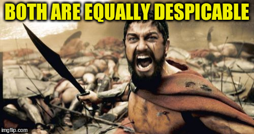 Sparta Leonidas Meme | BOTH ARE EQUALLY DESPICABLE | image tagged in memes,sparta leonidas | made w/ Imgflip meme maker