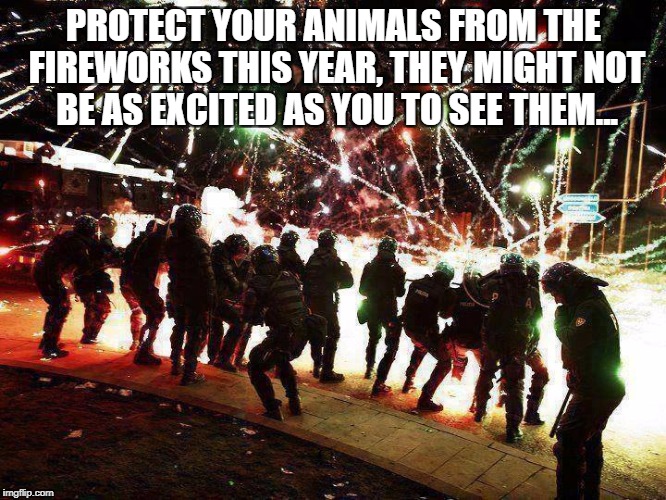 Independence Day Fireworks Cops | PROTECT YOUR ANIMALS FROM THE FIREWORKS THIS YEAR, THEY MIGHT NOT BE AS EXCITED AS YOU TO SEE THEM... | image tagged in independence day fireworks cops | made w/ Imgflip meme maker