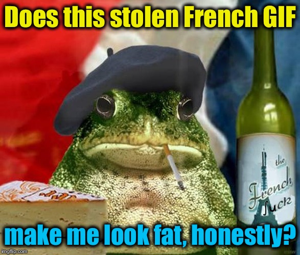 Does this stolen French GIF make me look fat, honestly? | made w/ Imgflip meme maker