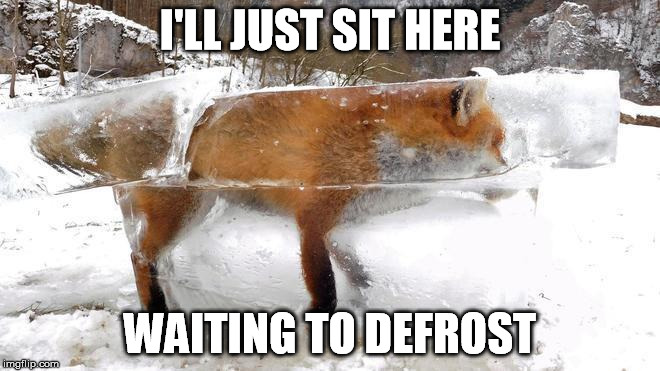 I'LL JUST SIT HERE WAITING TO DEFROST | made w/ Imgflip meme maker