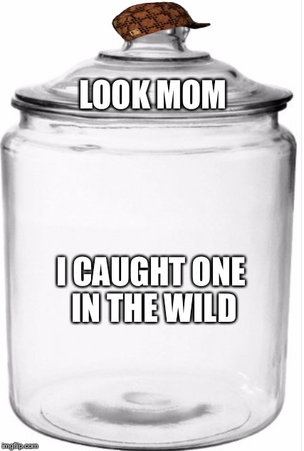 LOOK MOM I CAUGHT ONE IN THE WILD | made w/ Imgflip meme maker