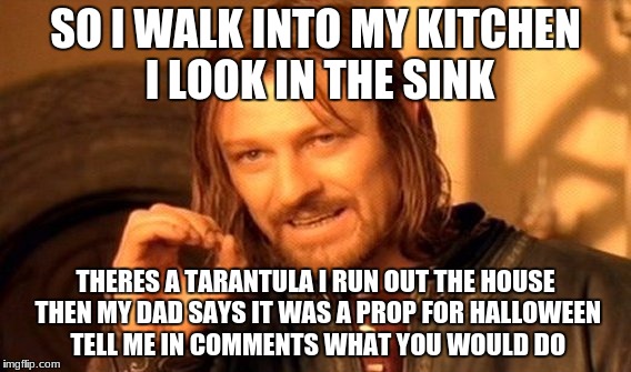 One Does Not Simply Meme | SO I WALK INTO MY KITCHEN I LOOK IN THE SINK; THERES A TARANTULA I RUN OUT THE HOUSE THEN MY DAD SAYS IT WAS A PROP FOR HALLOWEEN TELL ME IN COMMENTS WHAT YOU WOULD DO | image tagged in memes,one does not simply | made w/ Imgflip meme maker