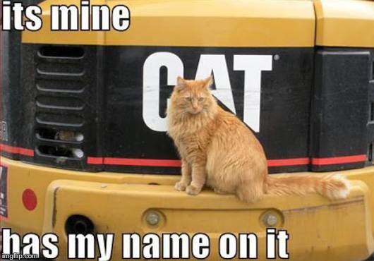 Wow, dis Kat iz so MLG | image tagged in mlg,cat,cat machine,dank,upvote,front page | made w/ Imgflip meme maker