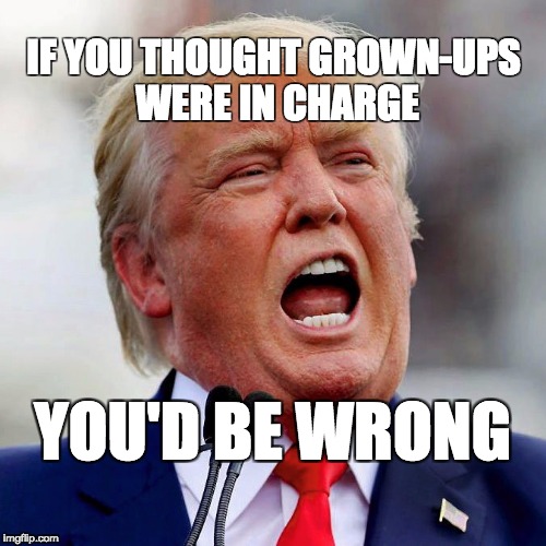 If you thought grown-ups were in charge, you'd be wrong. | IF YOU THOUGHT GROWN-UPS WERE IN CHARGE; YOU'D BE WRONG | image tagged in donald trump,trump,maga,usa | made w/ Imgflip meme maker