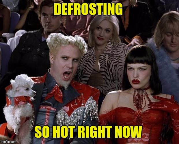 Mugatu So Hot Right Now Meme | DEFROSTING SO HOT RIGHT NOW | image tagged in memes,mugatu so hot right now | made w/ Imgflip meme maker