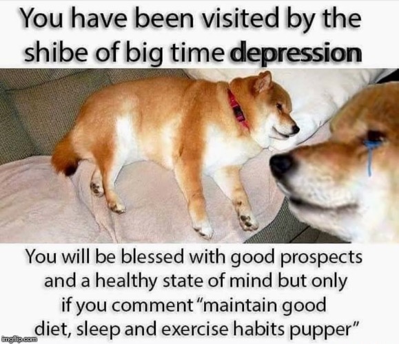 The Shibe Of Big Time Depression | image tagged in dog,depression | made w/ Imgflip meme maker