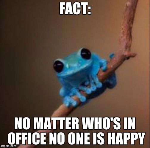 Small fact frog | FACT:; NO MATTER WHO'S IN OFFICE NO ONE IS HAPPY | image tagged in small fact frog | made w/ Imgflip meme maker