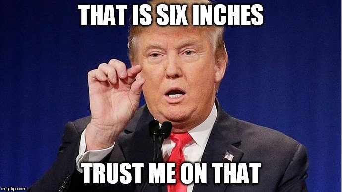 THAT IS SIX INCHES; TRUST ME ON THAT | image tagged in donald trump | made w/ Imgflip meme maker