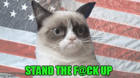 I don't really watch tv anymore so it doesn't really affect me. | STAND THE F@CK UP | image tagged in grumpy cat | made w/ Imgflip meme maker